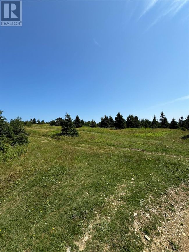 0 Seymours Road, Home with 0 bedrooms, 0 bathrooms and null parking in Spaniards Bay NL | Image 4