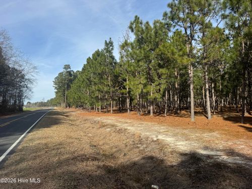 0 Butler Mill Rd, Bladenboro, NC, 28320 | Card Image