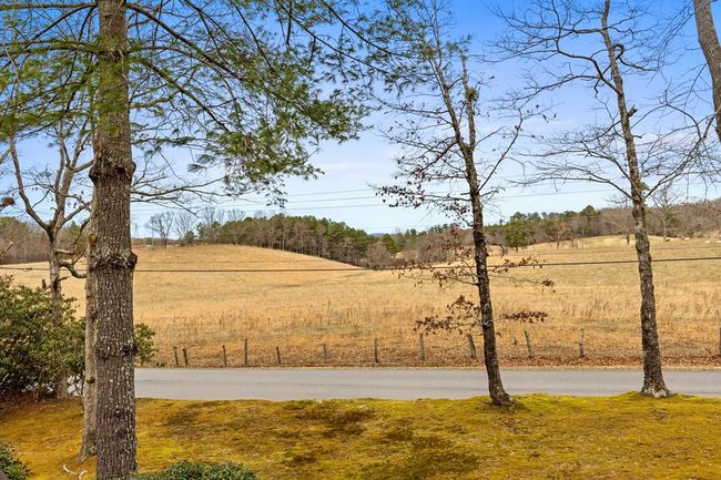1994 Douthit Rd, Home with 3 bedrooms, 2 bathrooms and 3 parking in Mineral Bluff GA | Image 49