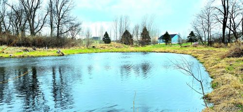 9860 Iosco Ridge Dr, Gregory, MI, 48137-9786 | Card Image