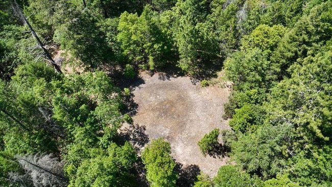 5 Lower River | Image 5