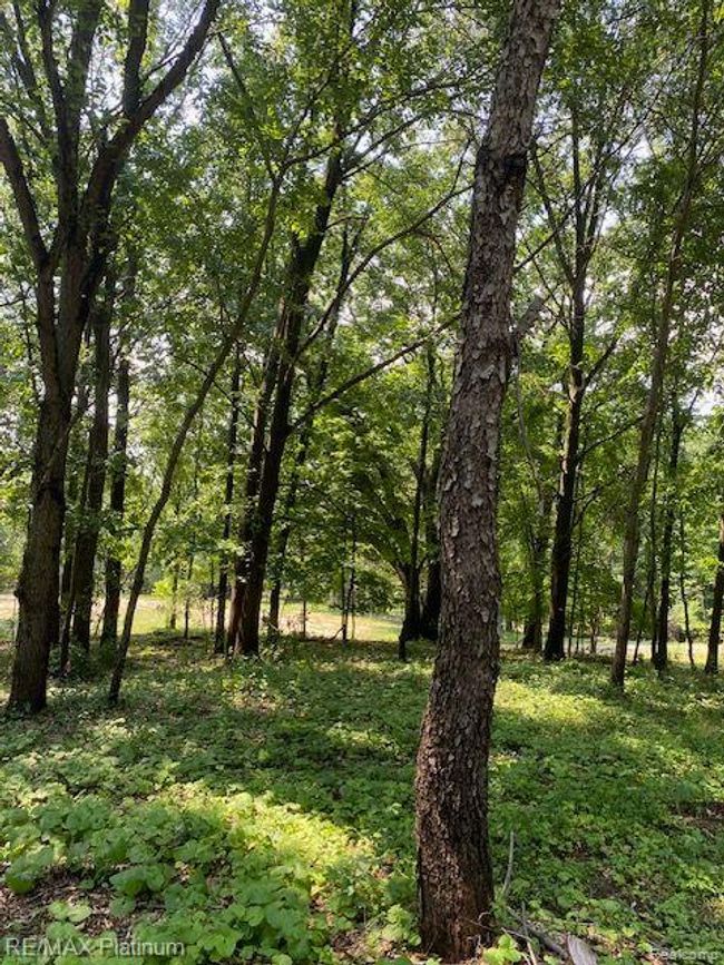 6 Sleaford Parcel 6   2.1 Acres Road, Home with 0 bedrooms, 0 bathrooms and null parking in Howell Township MI | Image 22