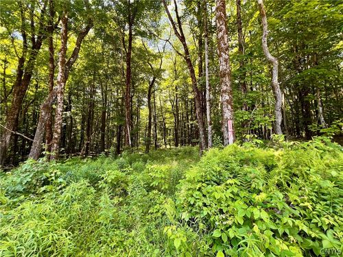 17 Cassio Rd, Williamstown, NY, 13493 | Card Image