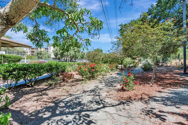 APT-101 - 490 N Civic Dr, Condo with 1 bedrooms, 0 bathrooms and null parking in Walnut Creek CA | Image 22