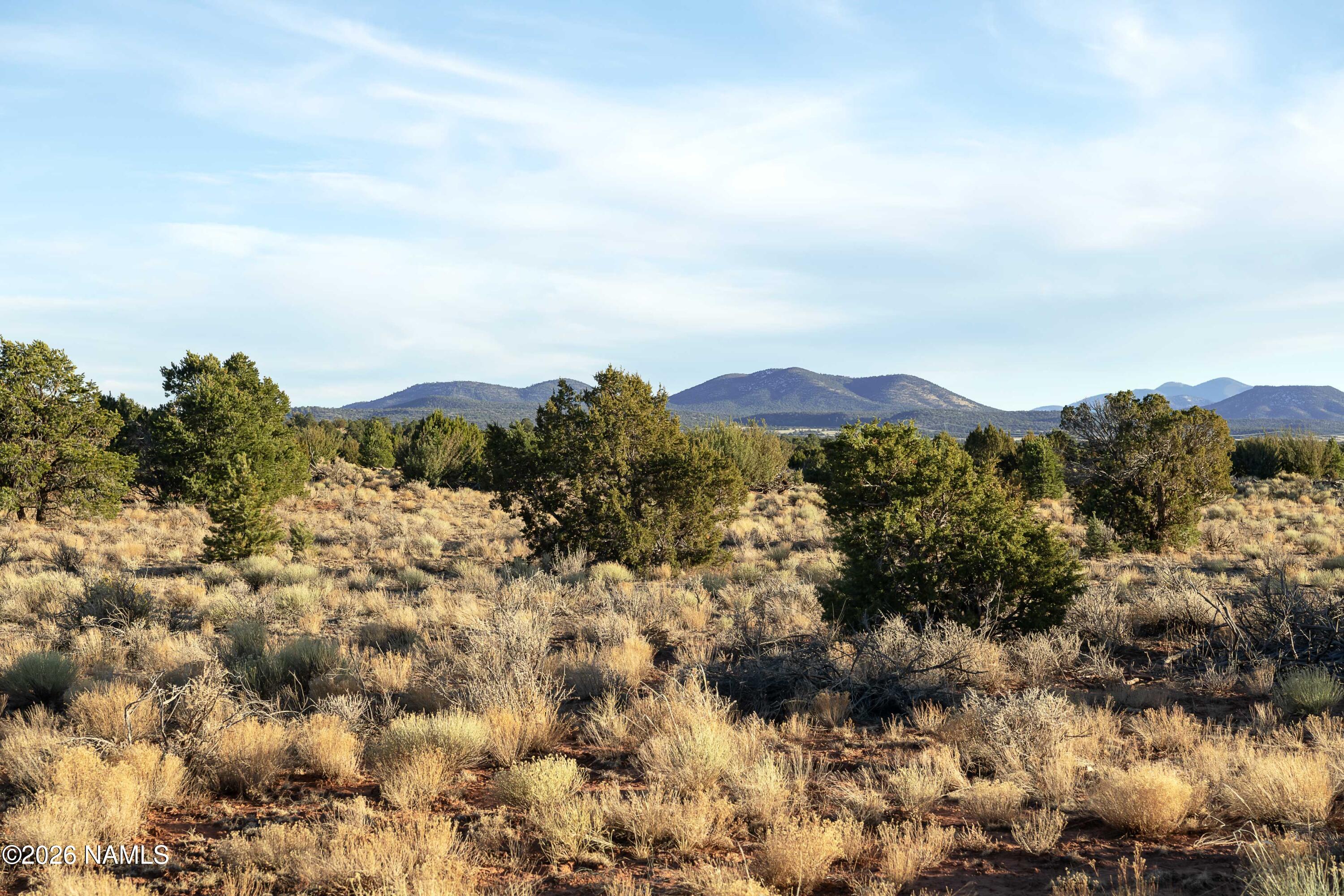 Land in Seligman 4