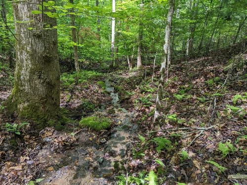 TBD Heritage Trl, Brasstown, NC, 28902 | Card Image