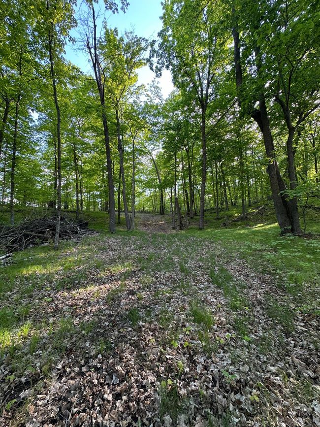 Trail shell lk.jpg | Image 4