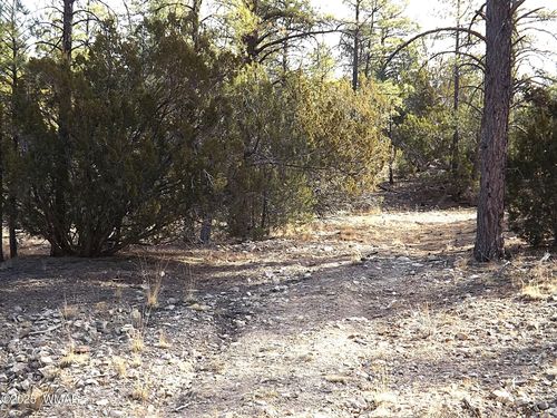 3341 Sawmill Ridge Loop, Heber, AZ, 85928-6003 | Card Image