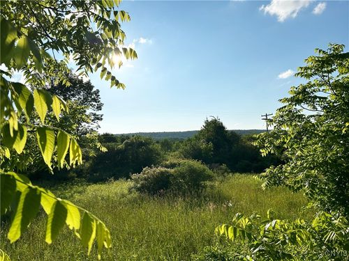 0 Syrian Hill Rd, Mc Graw, NY, 13101 | Card Image