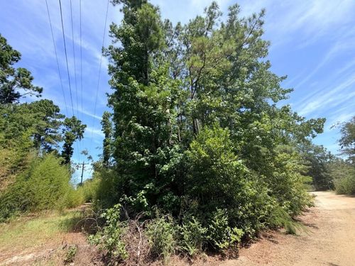 .44 AC Fm 3414, Jasper, TX, 75951 | Card Image