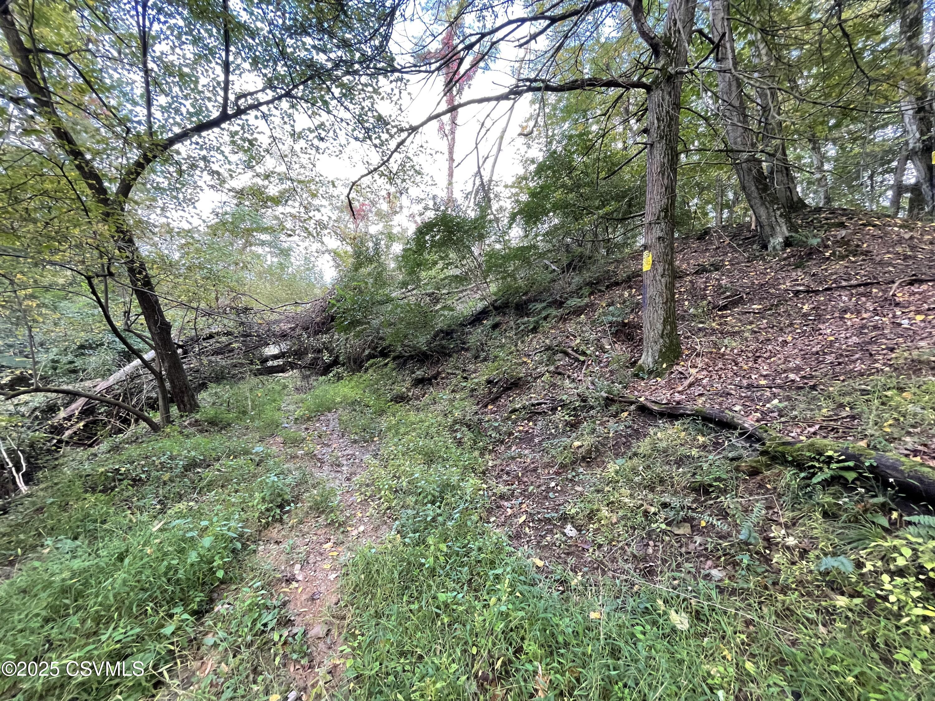 Land in Allenwood 3