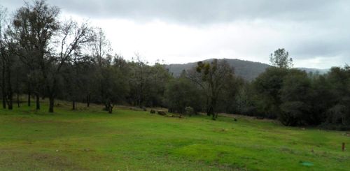 8074 Wildflower Way, Oregon House, CA, 95962-9717 | Card Image