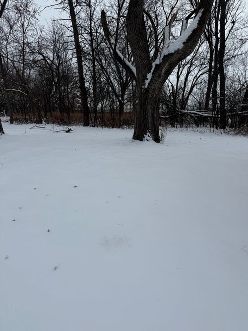 19611 Crawford Ave, Flossmoor, IL, 60422-1208 | Card Image