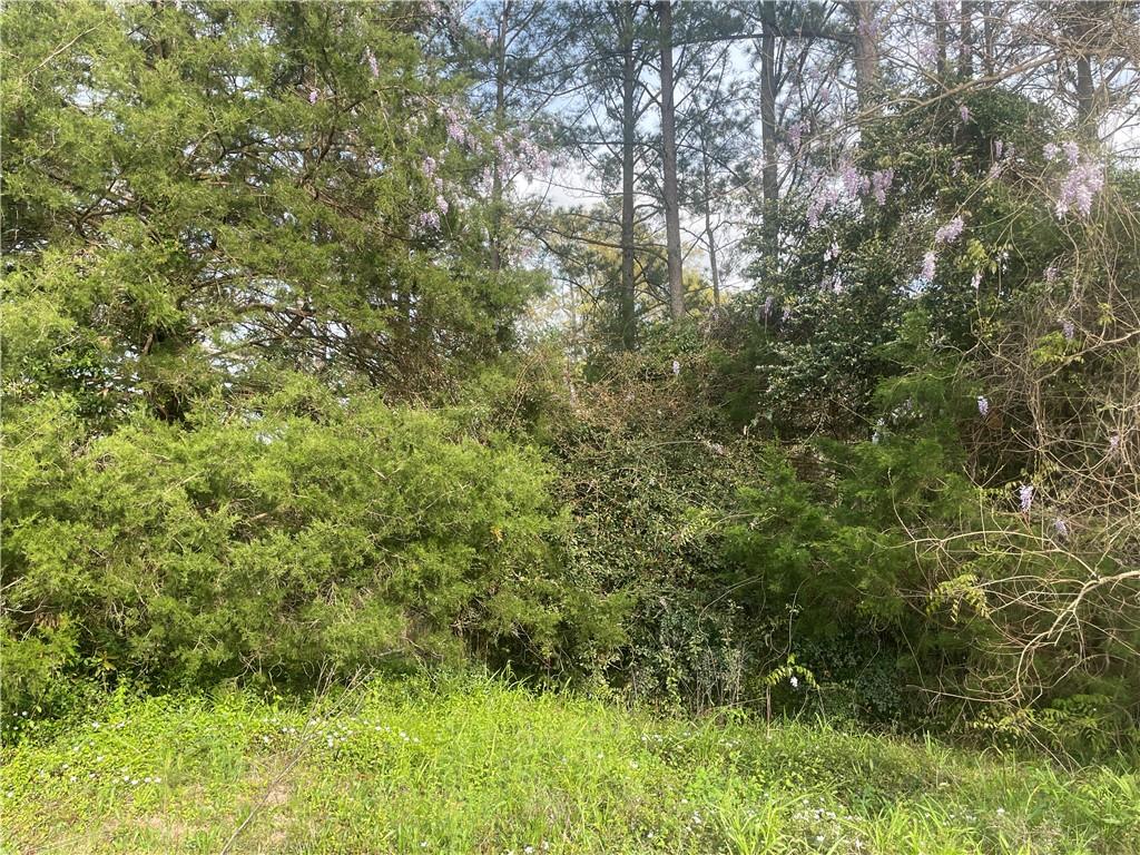 8th St, Opelika, AL 36801