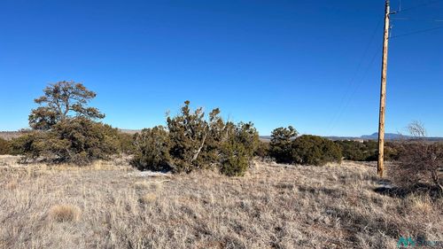49 Sweetwater Dr., Quemado, NM, 87829 | Card Image