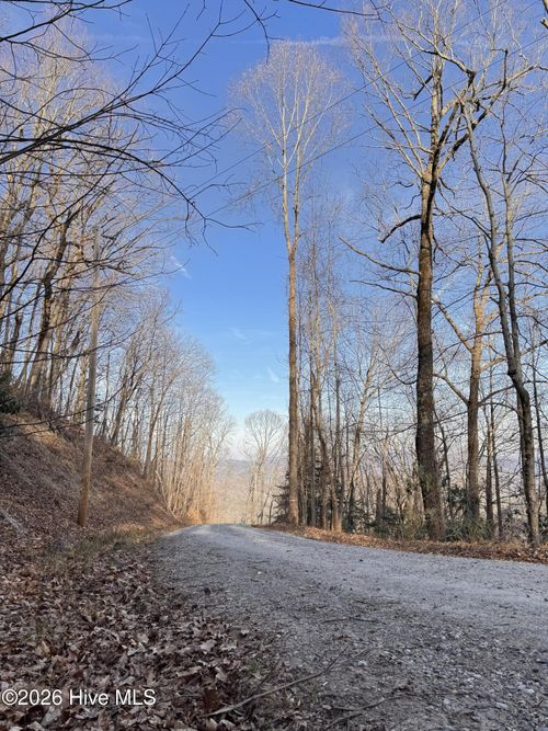 16 & 17 Ridgecrest Dr, Lake Lure, NC, 28746 | Card Image