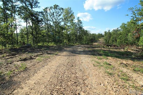 119a-0 Madison, Fredericktown, MO, 63645 | Card Image