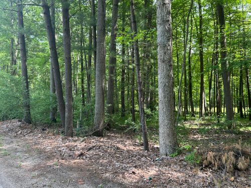 35-11409 Heather Ln, Canadian Lakes, MI, 49346-9605 | Card Image