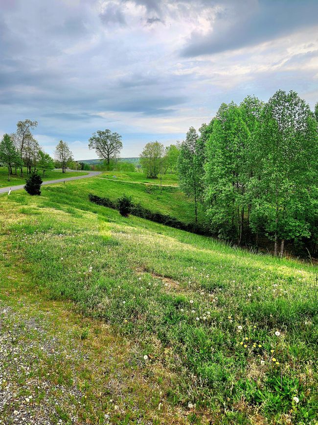 0 Sunset Cir, Home with 0 bedrooms, 0 bathrooms and null parking in Jasper TN | Image 5