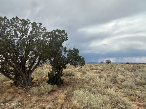 8-1224 E Valle Rd, Williams, AZ, 86046 | Card Image