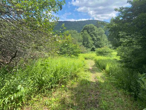 Lot 135 Sunset Mountain Village Drive, Slaty Fork, WV, 26291 | Card Image