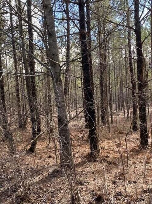 3 Thomas Springs Rd, CROSSVILLE, TN, 38572-7103 | Card Image