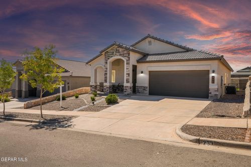 233 Ilchester Way, El Paso, TX, 79928-4406 | Card Image