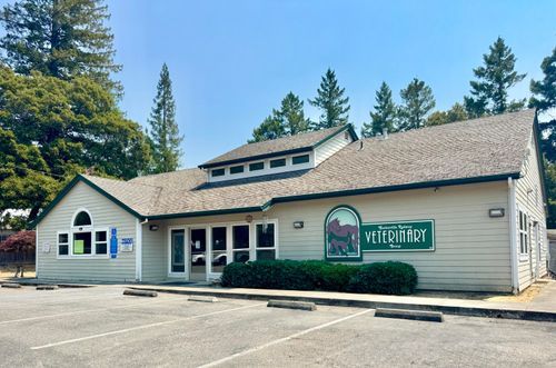 200/230 Alderpoint Road, Garberville, CA, 95542 | Card Image