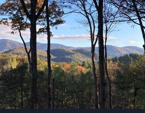 1183 Bear Paw Trl, Blue Ridge, GA, 30513-6375 | Card Image