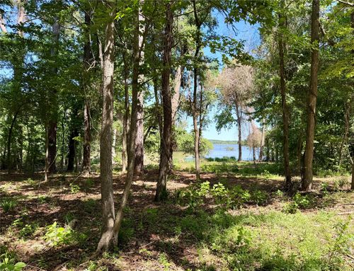 0000 County Road 3202, Chandler, TX, 75758 | Card Image