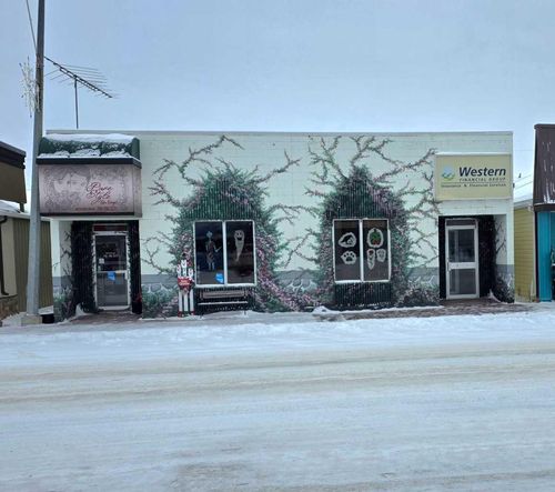 {{alt}} | Card Image