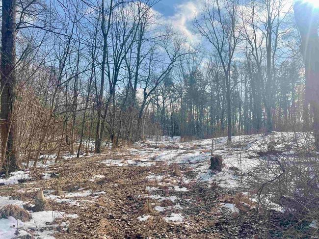 11300 Fuller Rd, Home with 0 bedrooms, 0 bathrooms and null parking in Gentryville IN | Image 23