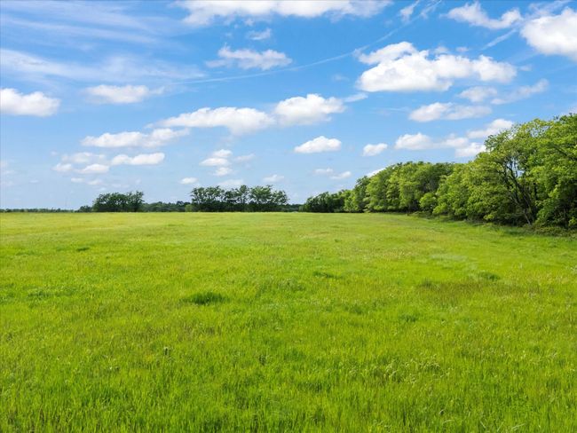 pasture | Image 14