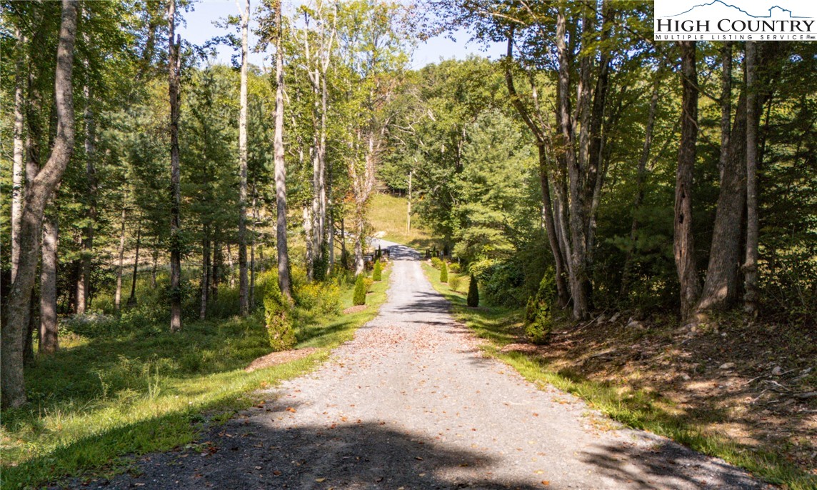 Land in Spruce Pine 4