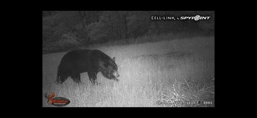 0 Highway 599, Jeffersonville, KY, 40337 | Card Image