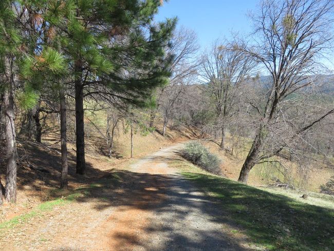 4196 Bald Mountain Rd, Home with 0 bedrooms, 0 bathrooms and null parking in West Point CA | Image 24
