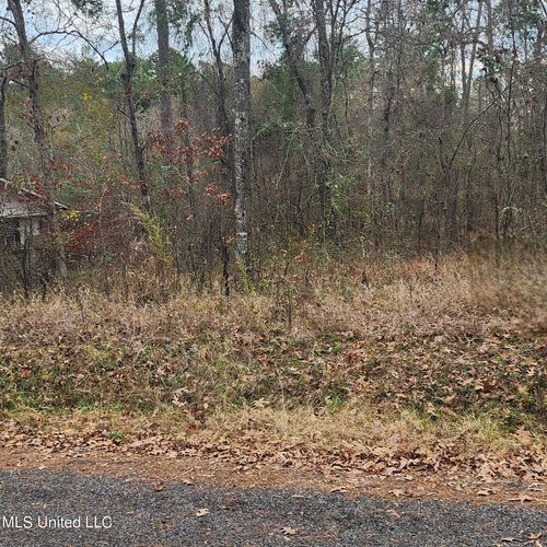 0 Nottingham Rd, Brandon, MS, 39042 | Card Image