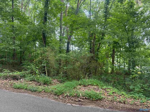 Lots 6-9 Halsey St, Gadsden, AL, 35901 | Card Image