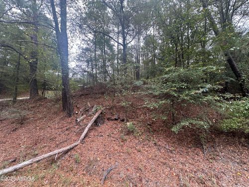 87 Martin Luther King Jr Blvd, Macon, GA, 31201-3413 | Card Image