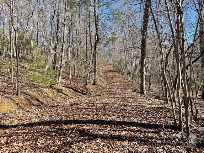0000 Pine Log Rd, Home with 0 bedrooms, 0 bathrooms and null parking in Warne NC | Image 17