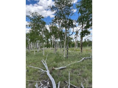 807 Bolster Dr, Hartsel, CO, 80449 | Card Image