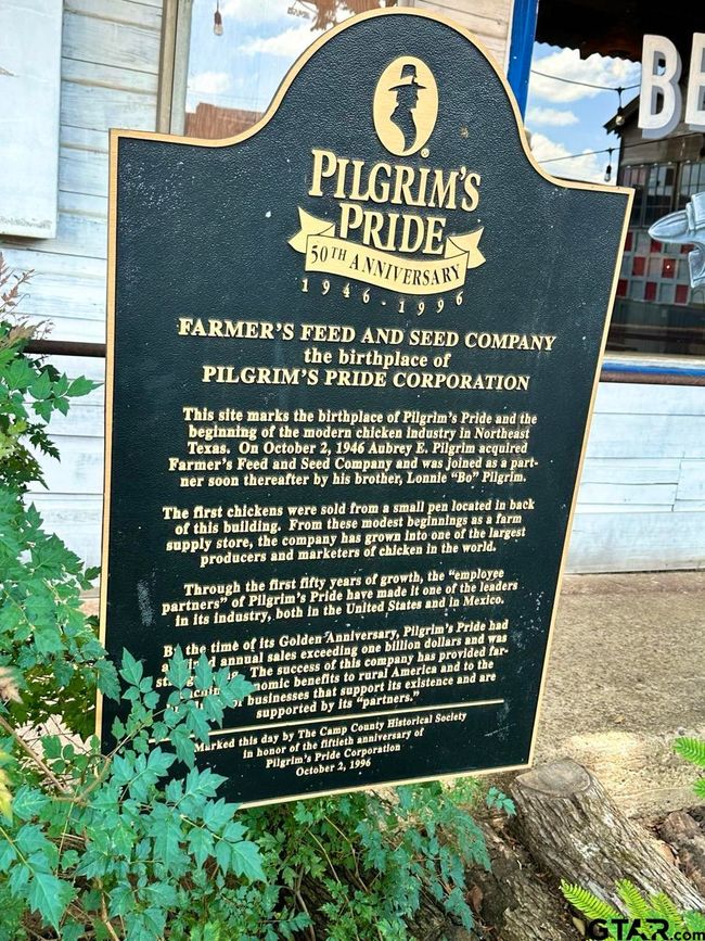 115 Compress St, Home with 0 bedrooms, 0 bathrooms and null parking in Pittsburg TX | Image 6