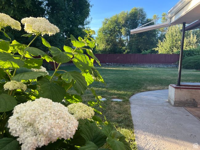 View of yard | Image 5