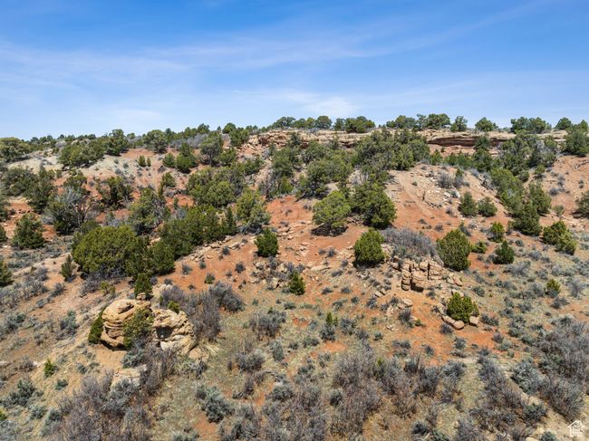 View in canyon 1 of beautiful juniper and red rock | Image 6