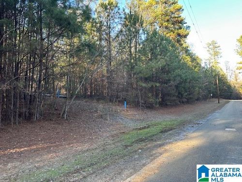 1-Lot 13 County Road 730, Clanton, AL, 35045 | Card Image