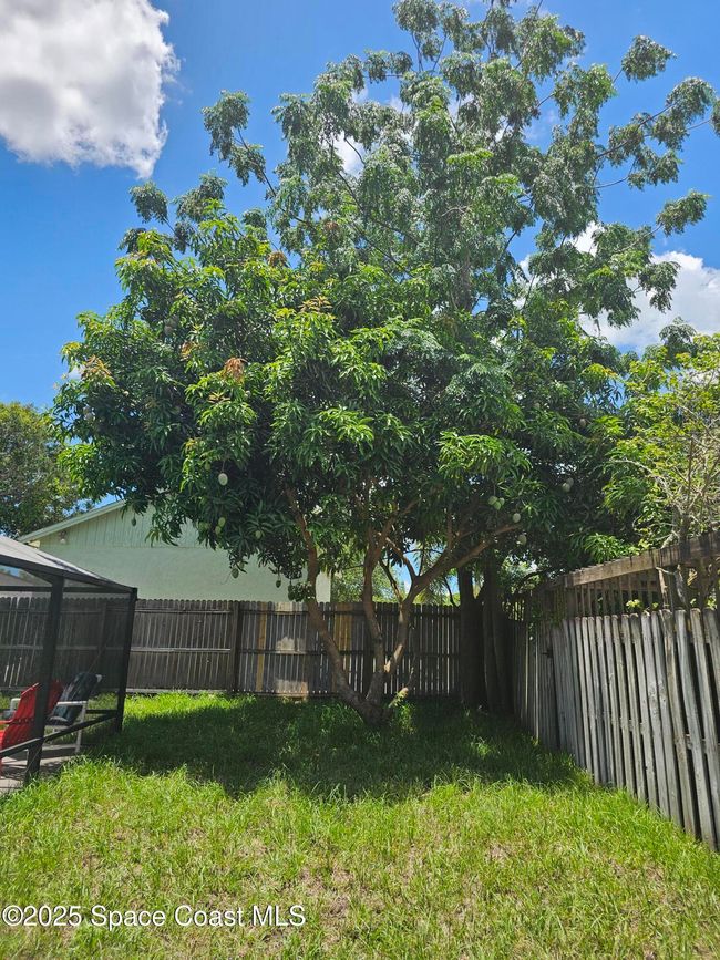 6630 Cecil Rd, House other with 4 bedrooms, 2 bathrooms and null parking in Cocoa FL | Image 36