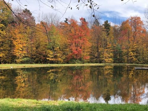 0 Gentian Holw, Becket, MA, 01223 | Card Image