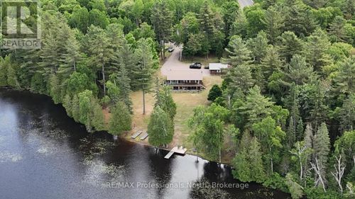 3951 Elephant Lake Road, Dysart et al (Harcourt), ON, K0L1X0 | Card Image