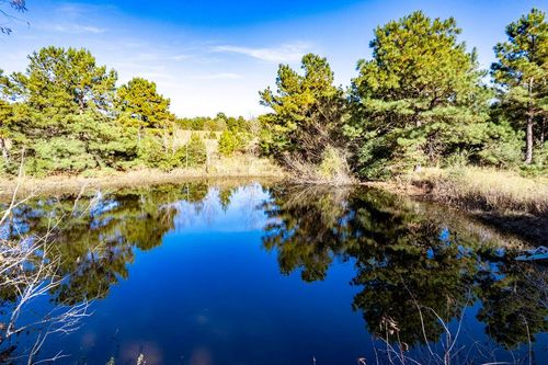 476 An County Road 414, Palestine, TX, 75803-1627 | Card Image