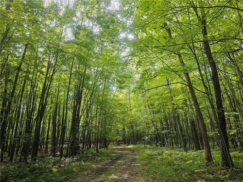 Lot 8 County Road A, Webster, WI, 54893 | Card Image